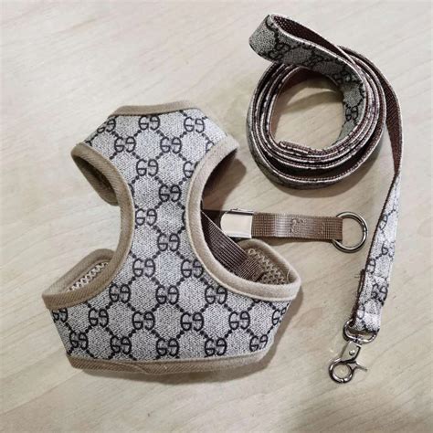 harnais gucci chien